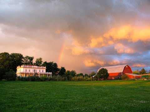 Farm during sunset. 