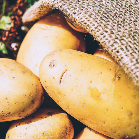 Potatoes in a burlap sack