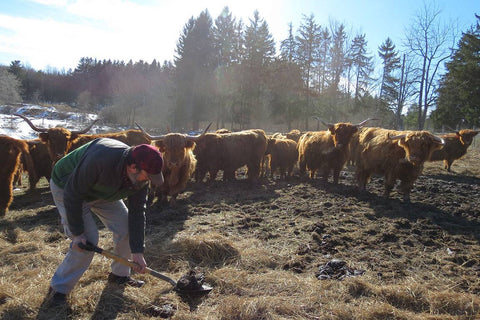 Gathering "materials" for the project at Locustbrea Farm in Alfred, NY.