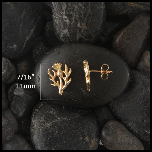 Thistle post earrings in 14K Gold