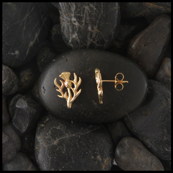 Thistle post earrings in 14K Gold