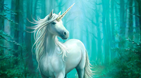 unicorn.jpg?21414