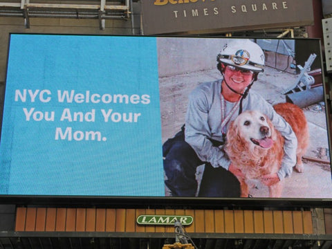 9/11 Search & Rescue Dog