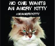 NoAngryKitty