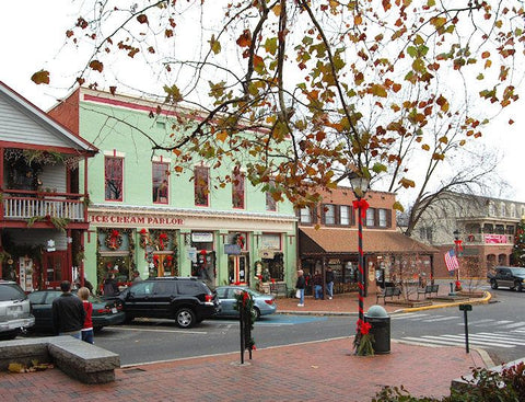 Dahlonega Georgia Cycling