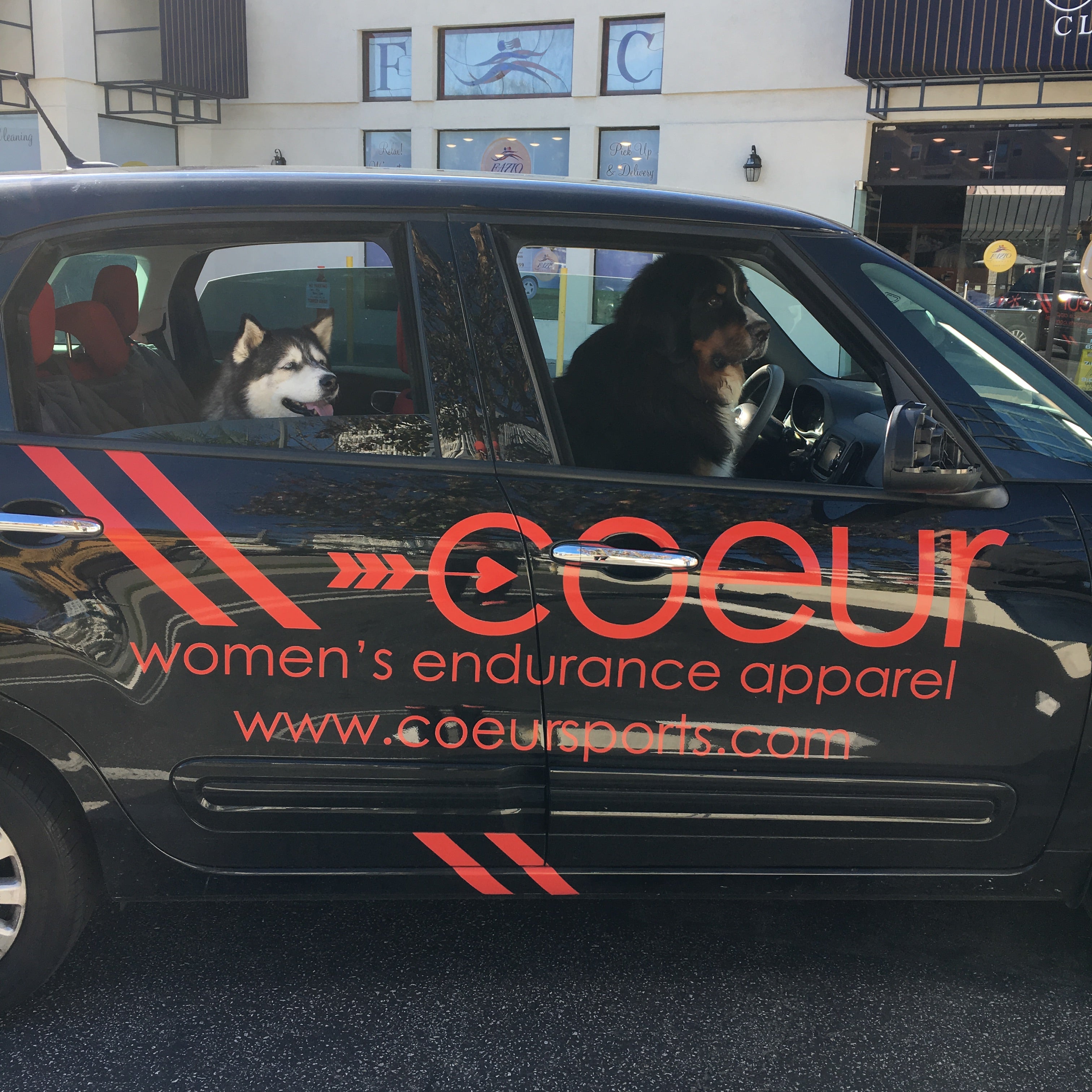 Coeur Sports Dogs in Car