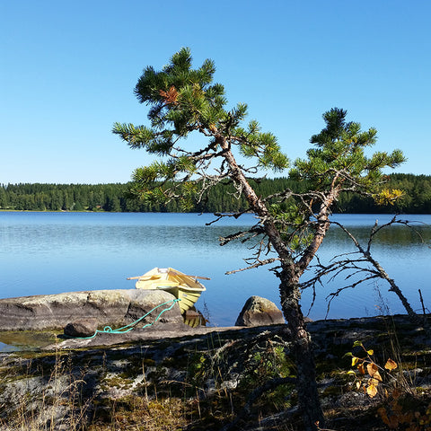 Landscape in Finland