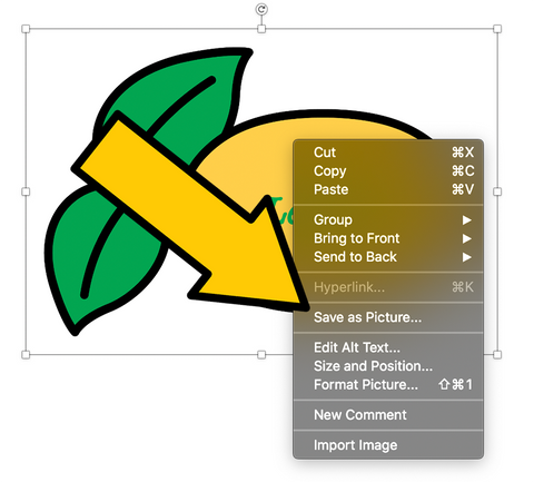 Save_Picture_As_PP_Tutorial.