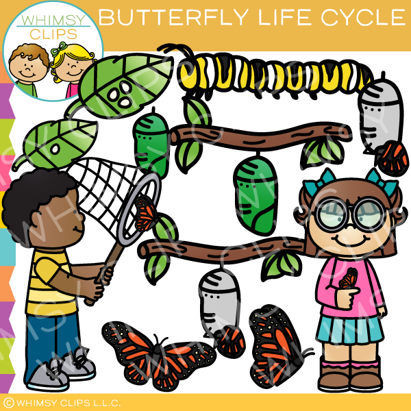 free clip art butterfly life cycle - photo #7