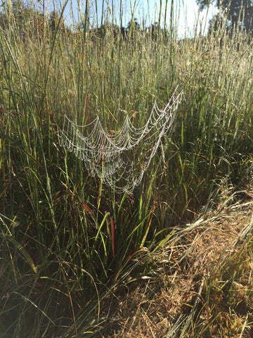 Why sexy, spidery cobweb fashion is going to be everywhere post