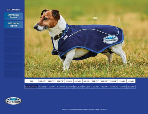 Weatherbeeta Exercise dog coat measurement guide - PetnPony