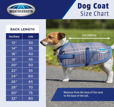 Weatherbeeta Dog coat measurement guide - PetnPony