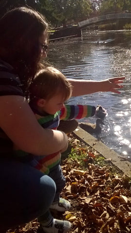 Feeding Ducks