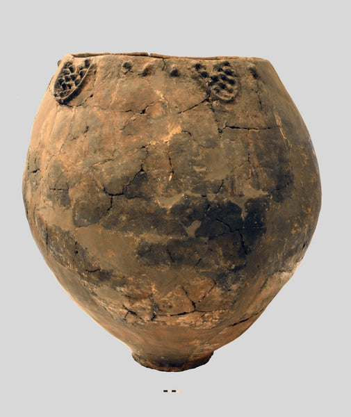 A Neolithic jar — possibly used for brewing wine — found at the site of Khramis-Didi-Gora in Georgia, on display at the Georgian National Museum.© Mindia Jalabadze/Georgian National Museum
