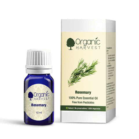 Organic Rosemary