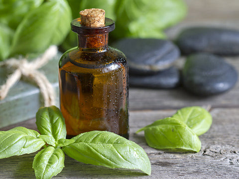 Tulsi oil hot sale