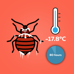 bed bugs freeze at wahat temperature