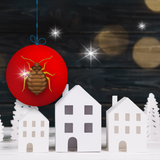 bed bugs and holidays