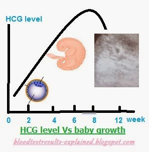 HCG-Level-Chart