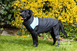 Dog coat with underbelly covered