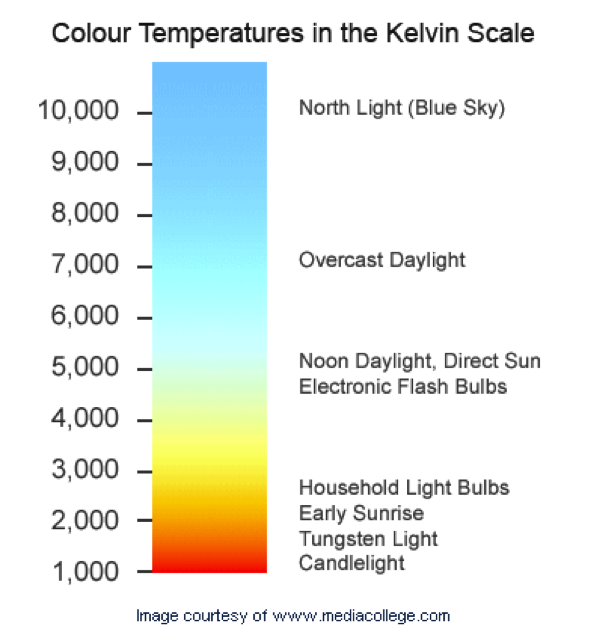 What are the 4 Characteristics of Light Bulbs?