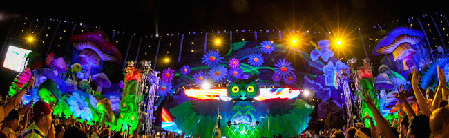 Electric Daisy Carnival 2014