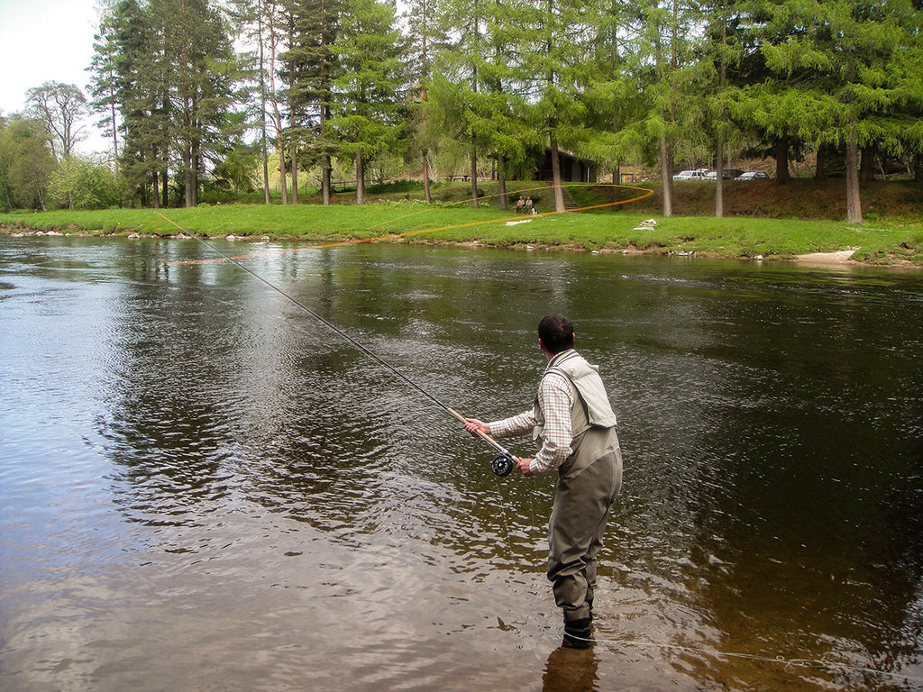 Learning-the Snap t-Snap C- Spey Casts