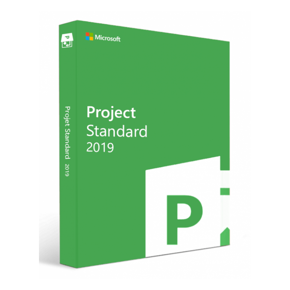 Buy cheap Project Standard 2019