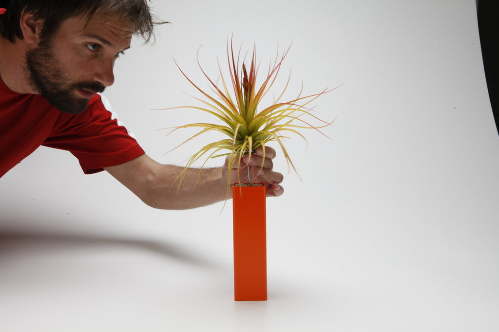 airplant-photoshoot-josh-rosen