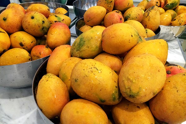 Fresh Mango picked on Maui for our Maui Fruit Jewels
