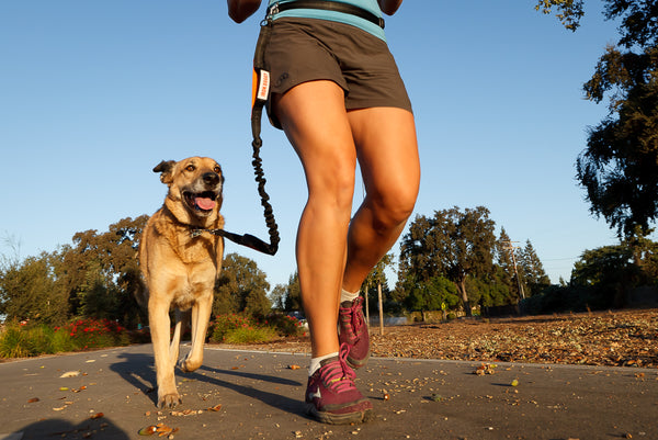 Iron Doggy SideKick hands-free leash running with dog in the park