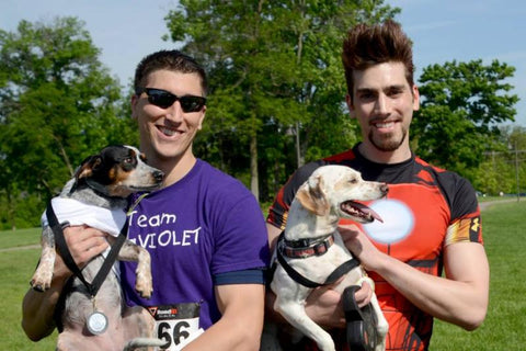 Dash for the Dogs 5k