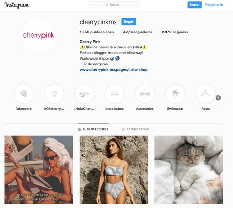 Ideas para tu instagram Bio 10