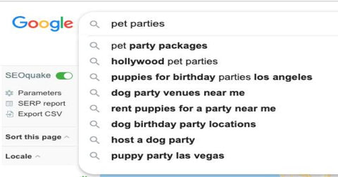 pet party
