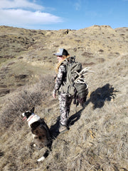 Shed hunting with dog