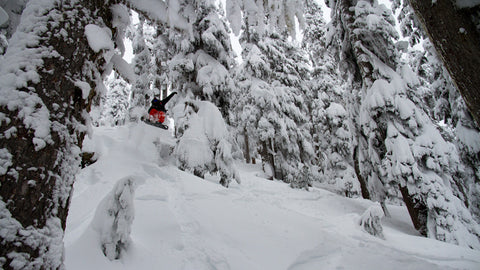 Shredding The Backcountry