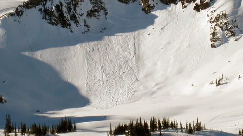 Avalanche Debris