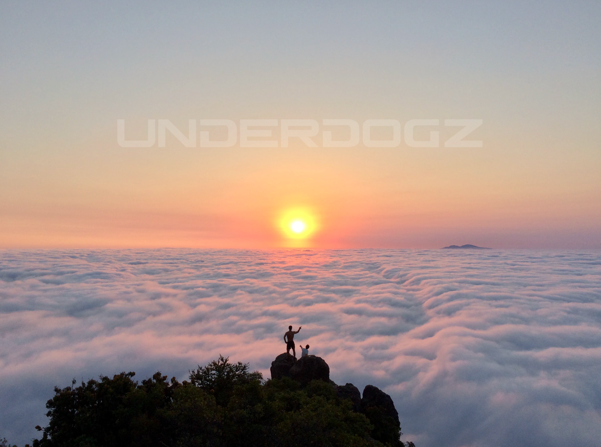 underdogz lifestyle undgz success