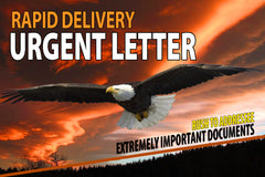 Custom printing of 6 x 9 rapid urgent envelope example  