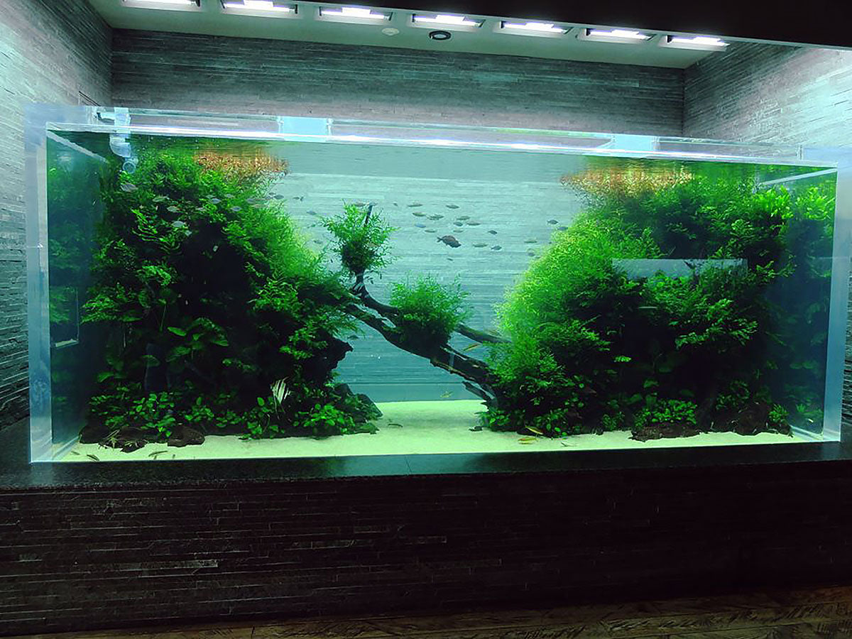 Sumida aquarium
