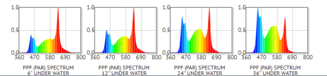 Water depth and spectrum