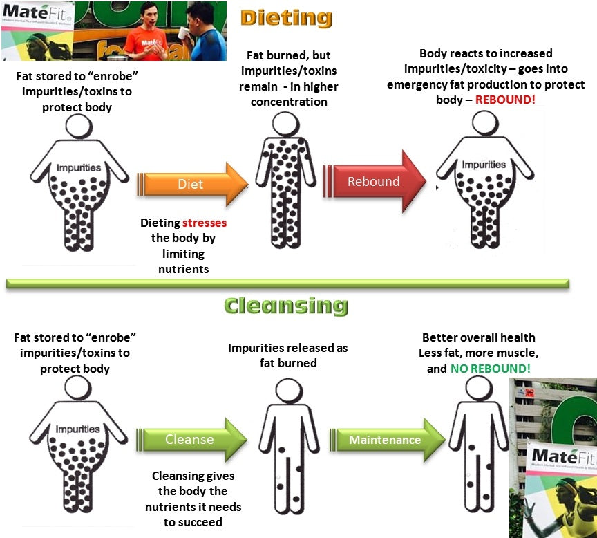 MateFit Guru Detox vs Cleanse Definitions Tips To get rid of Toxins...