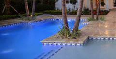 Mexican tile outdoor pool palm trees