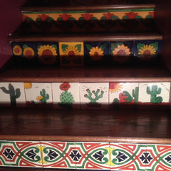 Mexican Tile Staircase Plants