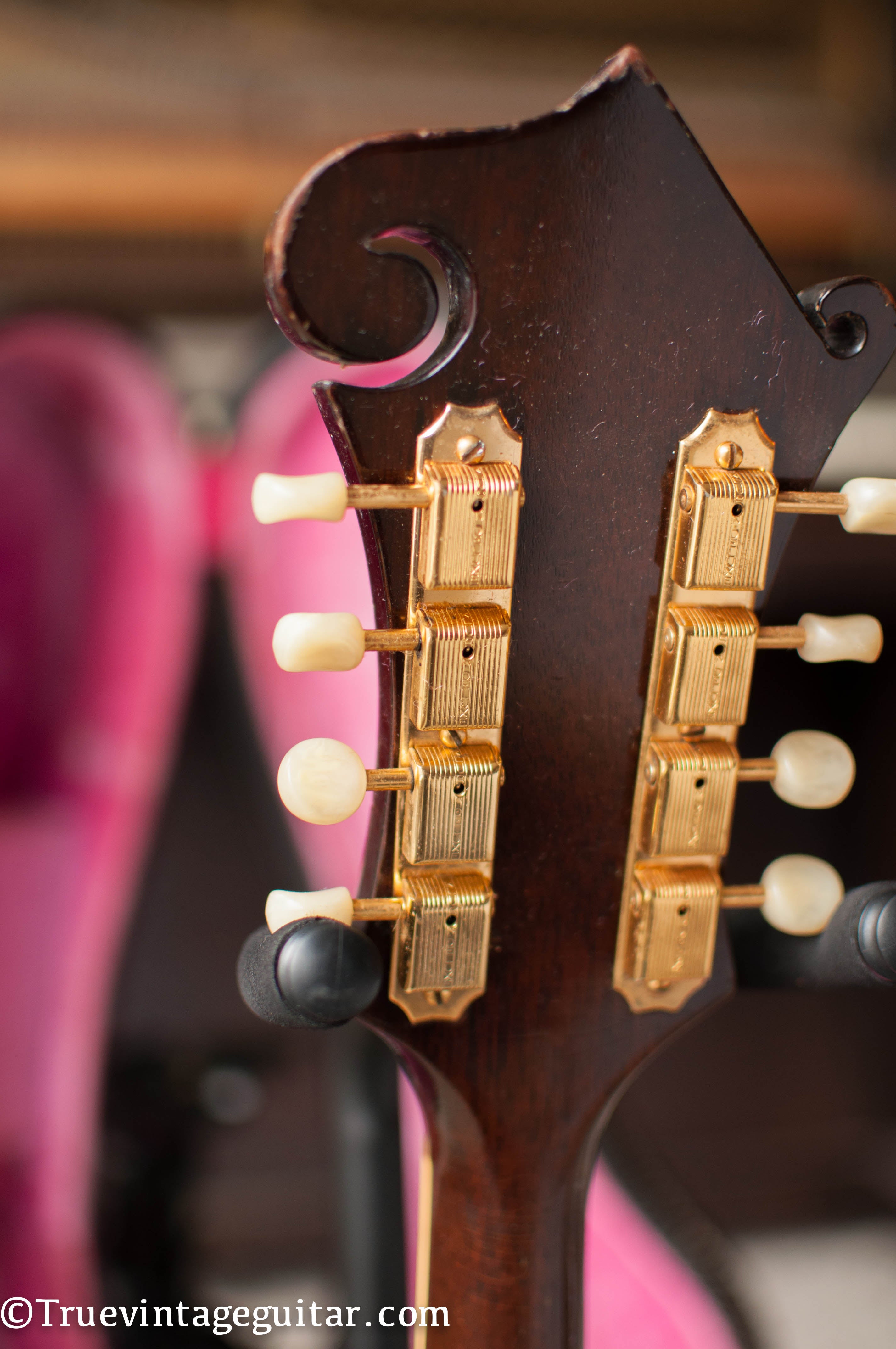1950s gold Kluson mandolin tuners, slot screws, single line