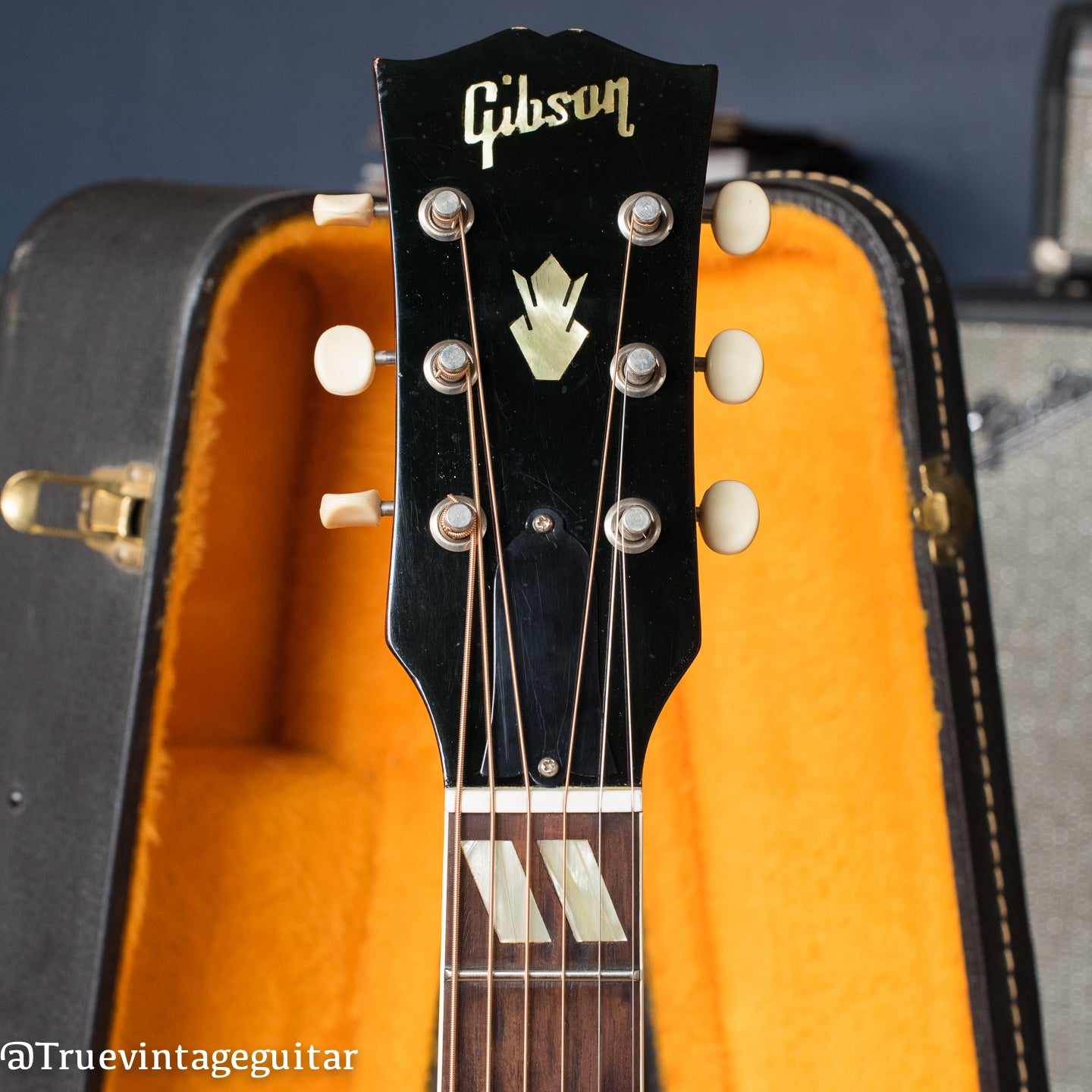 Gibson guitar buyer