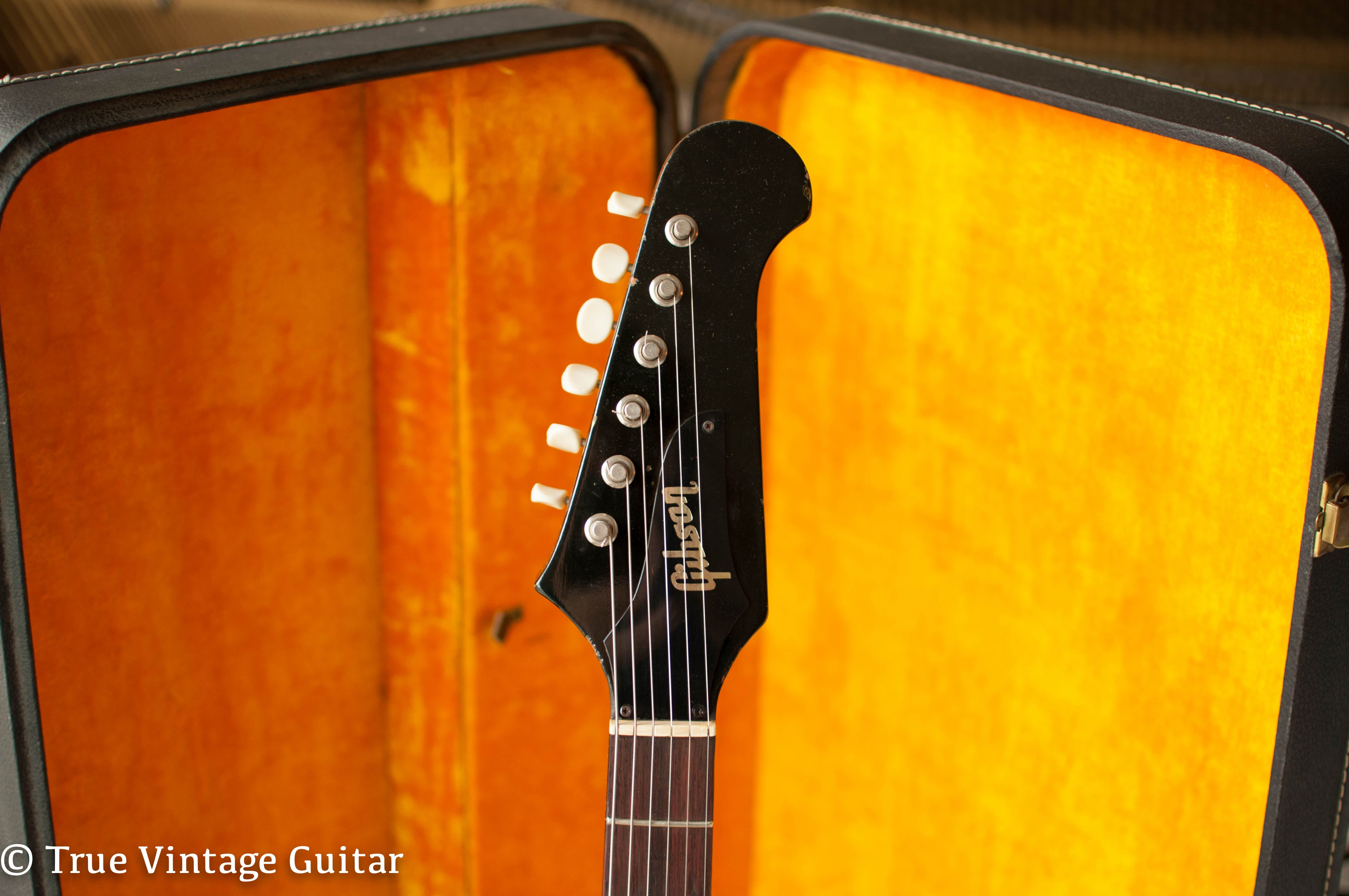 Gibson Firebird headstock 1966