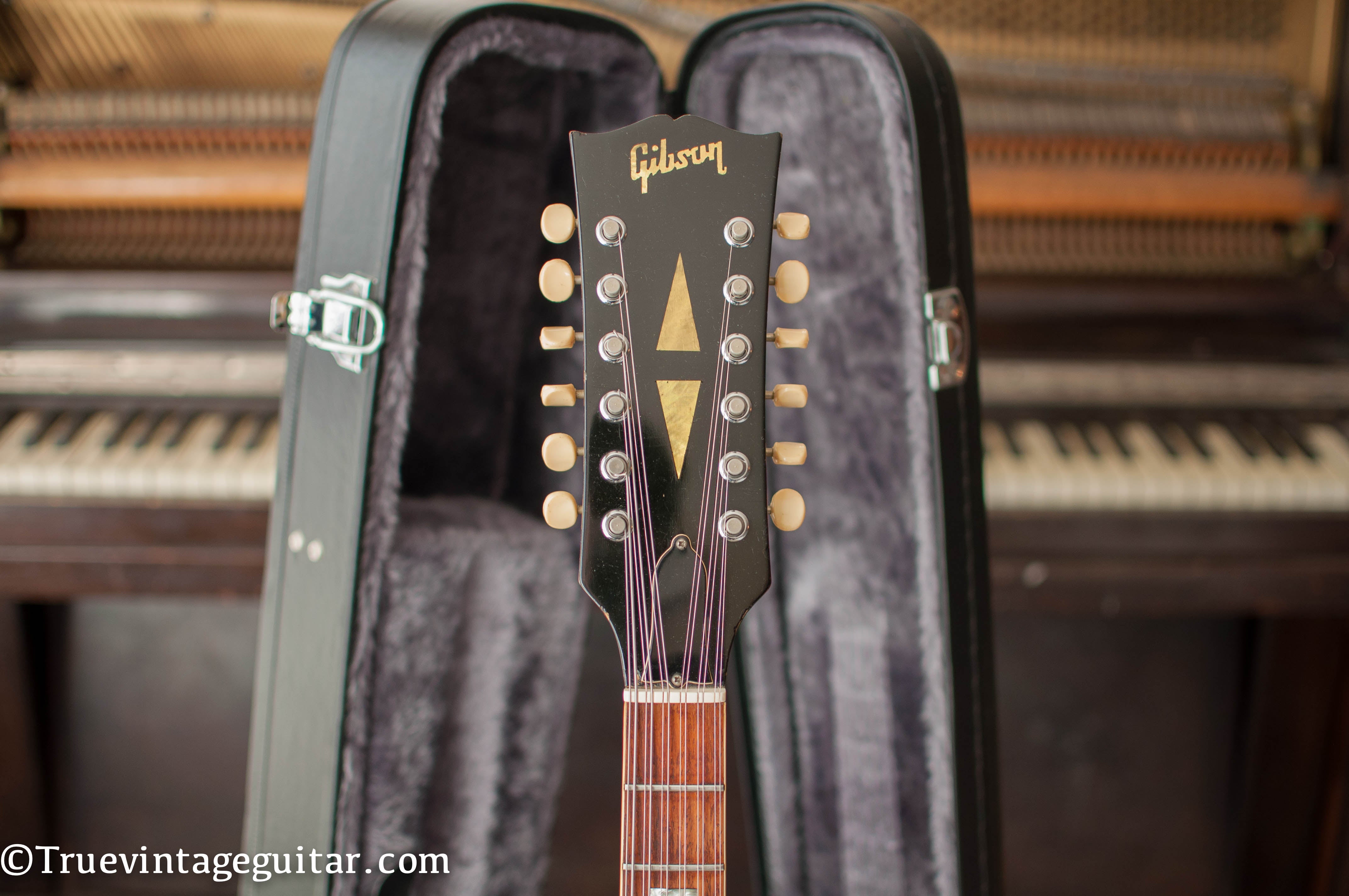 12 string Gibson headstock, ES-335-12