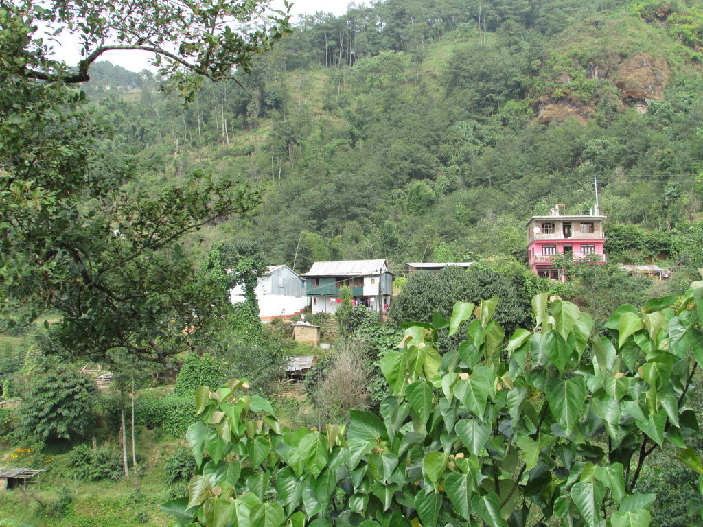 Villages around Jun Chiyabari, Nepal.