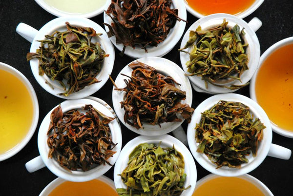 Photo of different types of tea leaves